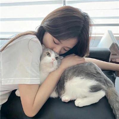 秋月春花未了情